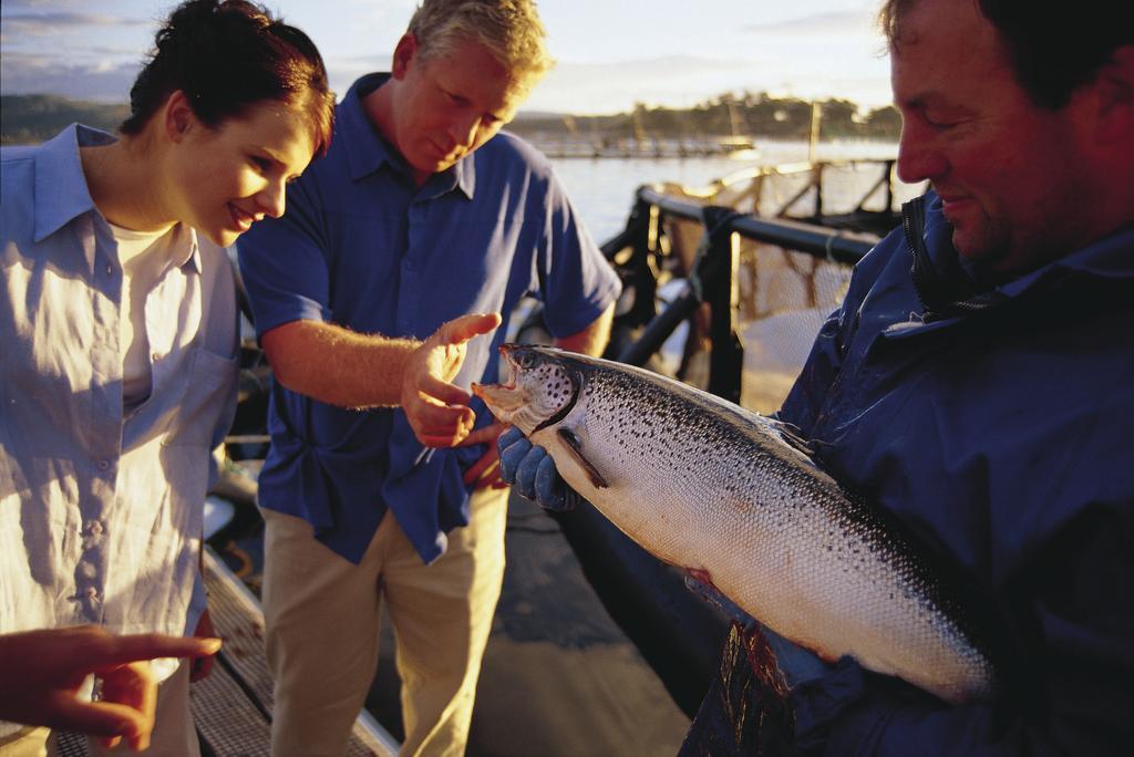 Kermandie Hotel Port Huon エクステリア 写真